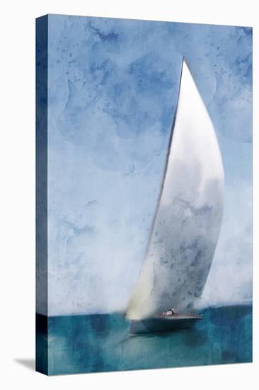 Out To Sail-Kimberly Allen-Stretched Canvas