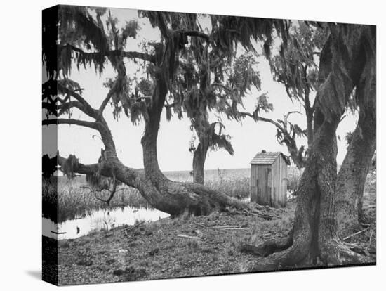 Outhouse Sitting in the Middle of the Woods-null-Premier Image Canvas
