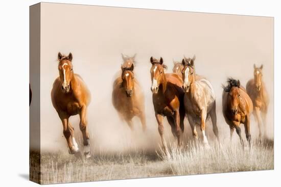 Outlaws-Lisa Dearing-Premier Image Canvas