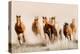 Outlaws-Lisa Dearing-Premier Image Canvas