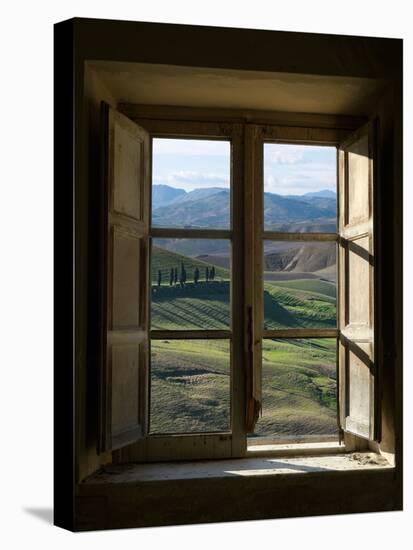 Outside View of Cypress Trees and Green Hills Through a Shabby Windows-ollirg-Premier Image Canvas
