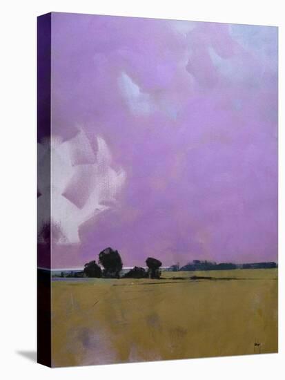 Over the Fields to the Distant Sea-Paul Bailey-Stretched Canvas