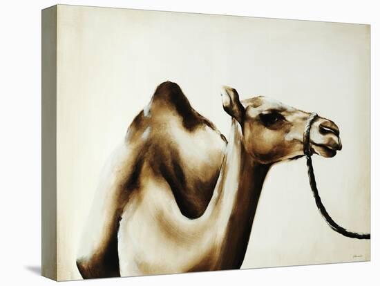 Over The Hump-Sydney Edmunds-Premier Image Canvas