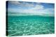 Over Under, half water half land, Clouds over the Pacific Ocean, Bora Bora, Society Islands, Fre...-Panoramic Images-Premier Image Canvas