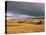 Overberg Landscape, Western Cape, South Africa, Africa-Alain Evrard-Premier Image Canvas