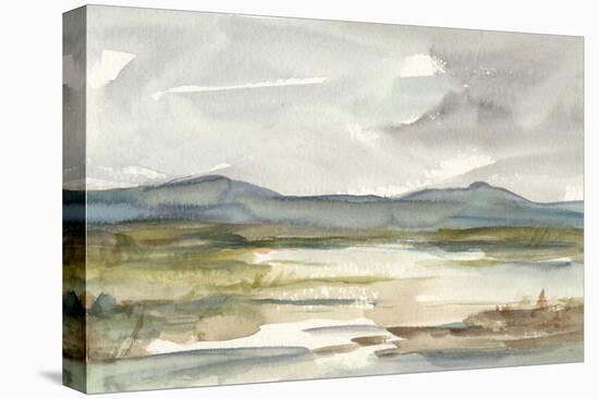 Overcast Wetland I-Ethan Harper-Stretched Canvas