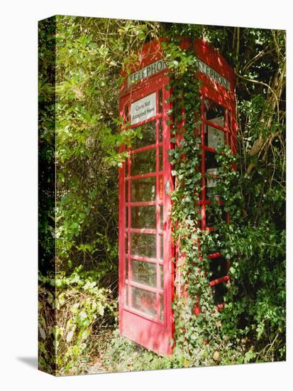 Overgrown Telephone Box, England, United Kingdom, Europe-David Hughes-Premier Image Canvas