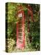 Overgrown Telephone Box, England, United Kingdom, Europe-David Hughes-Premier Image Canvas