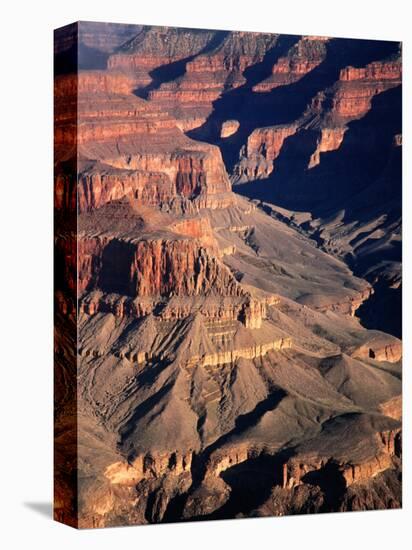 Overhead of South Rim of Canyon, Grand Canyon National Park, U.S.A.-Mark Newman-Premier Image Canvas