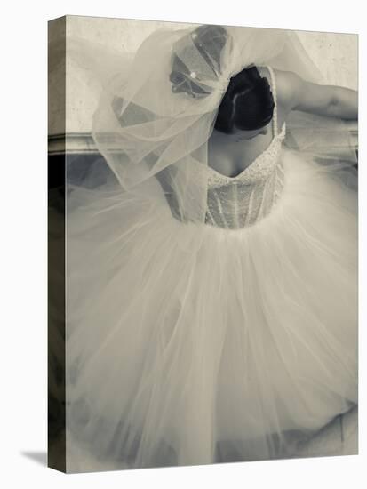 Overhead View of Bride at Gum Shopping Mall, Red Square, Moscow, Moscow Oblast, Russia-Walter Bibikow-Premier Image Canvas