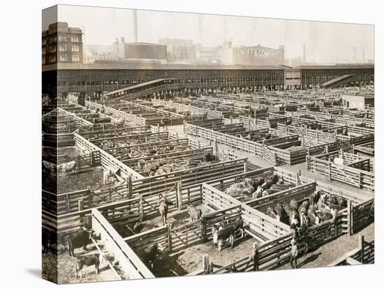 Overhead View of Chicago Stockyards-null-Premier Image Canvas