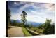 Overlook, Blue Ridge Parkway, Smoky Mountains, USA.-Anna Miller-Premier Image Canvas