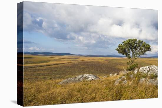 Overlook over the Highlands of the Nyika National Park, Malawi, Africa-Michael Runkel-Premier Image Canvas