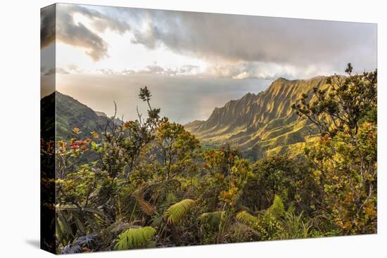 Overlooking the Kalalau Valley Right before Sunset-Andrew Shoemaker-Premier Image Canvas