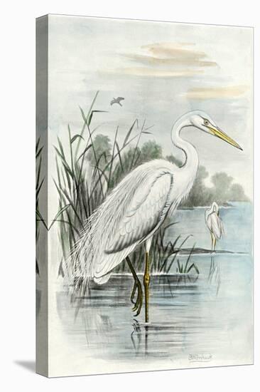 Oversize White Heron-null-Stretched Canvas