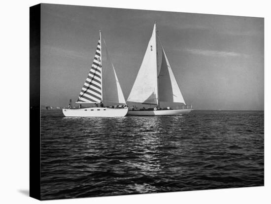 Overtaking a Conventional Sailboat, the Catamaran Is Displaying its Speed-Loomis Dean-Premier Image Canvas