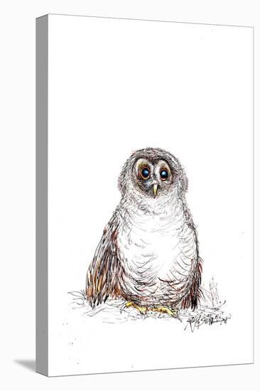 Owen the Owl Birds Nextinctions, 2007 (drawing)-Ralph Steadman-Premier Image Canvas