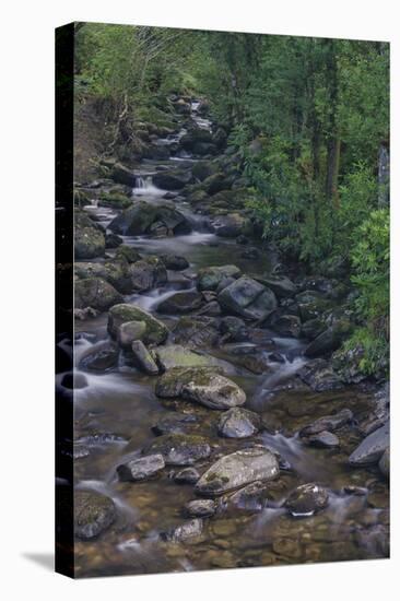 Owengarriff River, Killarney National Park, County Kerry, Munster, Republic of Ireland, Europe-Carsten Krieger-Premier Image Canvas