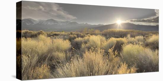 Owens River Valley, Sierra Nevada, California, Usa-Rainer Mirau-Premier Image Canvas