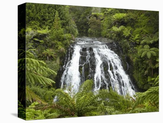 Owharoa Falls, Karangahake Gorge, Waikato, North Island, New Zealand-David Wall-Premier Image Canvas