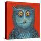 Owl, 2015-Tamas Galambos-Premier Image Canvas