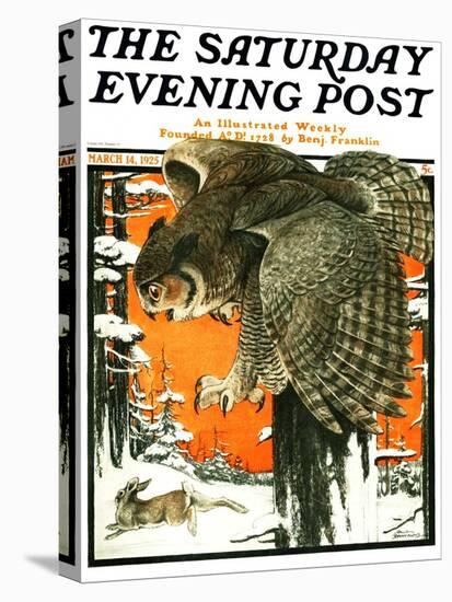 "Owl and Rabbit," Saturday Evening Post Cover, March 14, 1925-Paul Bransom-Premier Image Canvas