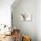 Owl Ascending-Theo Westenberger-Premier Image Canvas displayed on a wall