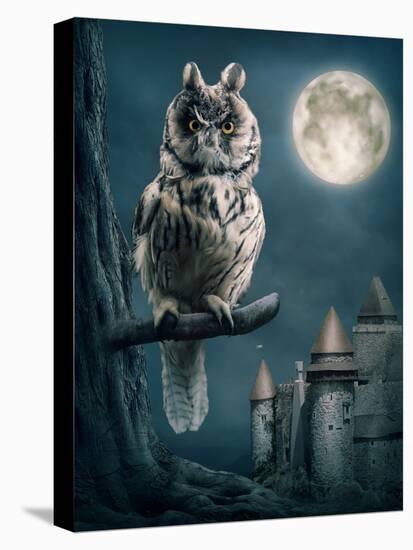 Owl Bird Sitting on Branch at Night-egal-Premier Image Canvas