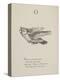 Owl Illustrations and Verses From Nonsense Alphabets Drawn and Written by Edward Lear.-Edward Lear-Premier Image Canvas