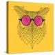 Owl in Pink Glasses-Lisa Kroll-Stretched Canvas