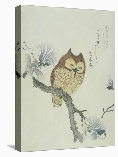 Owl on a Flowering Magnolia Branch-Kubo Shunman-Premier Image Canvas