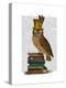 Owl on Books-Fab Funky-Stretched Canvas