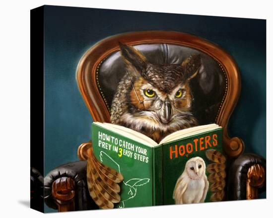 Owl Porn-Lucia Heffernan-Stretched Canvas