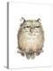 Owl VII-Judy Rossouw-Stretched Canvas