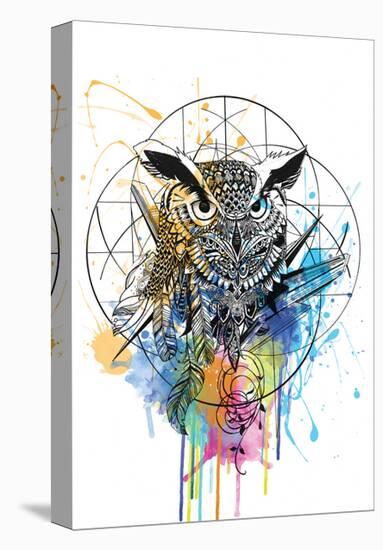 Owl-Karin Roberts-Stretched Canvas