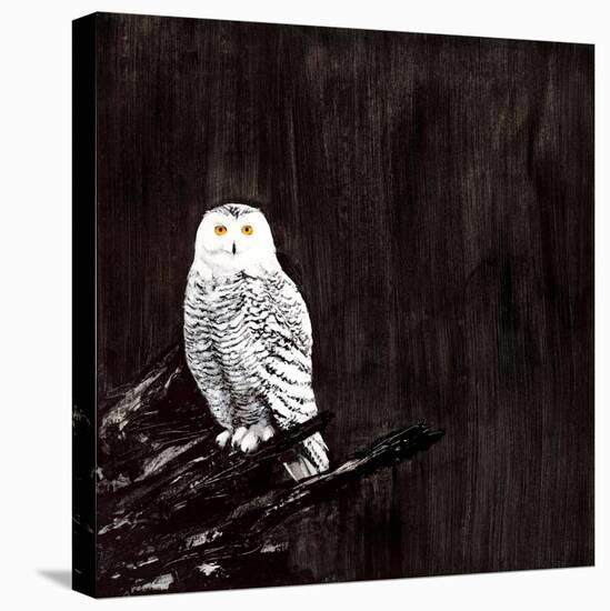 Owl-Paul Ngo-Premier Image Canvas