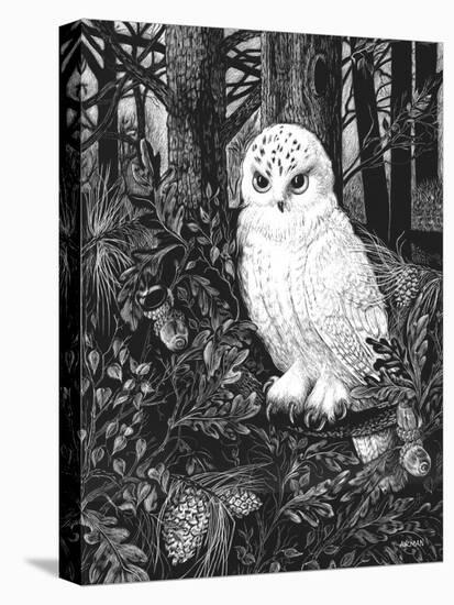 Owl-Geraldine Aikman-Premier Image Canvas