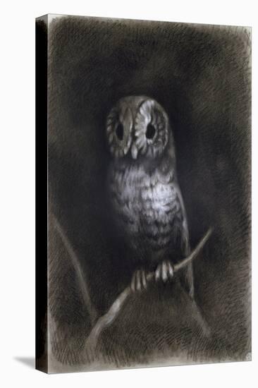 Owl-Andrea Mantegna-Premier Image Canvas