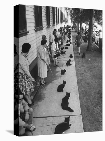 Owners with Their Black Cats, Waiting in Line For Audition in Movie "Tales of Terror"-Ralph Crane-Premier Image Canvas