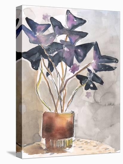 Oxalis in Vase I-Jennifer Parker-Stretched Canvas