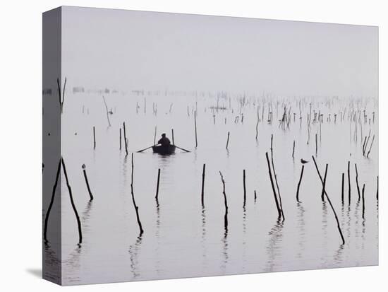 Oyster Beds, Arcachon, Gironde, Aquitaine, France-Adam Woolfitt-Premier Image Canvas