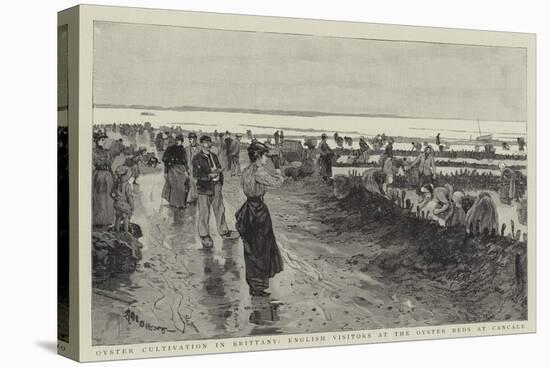 Oyster Cultivation in Brittany, English Visitors at the Oyster Beds at Cancale-null-Premier Image Canvas