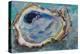 Oyster Two-Jeanette Vertentes-Stretched Canvas