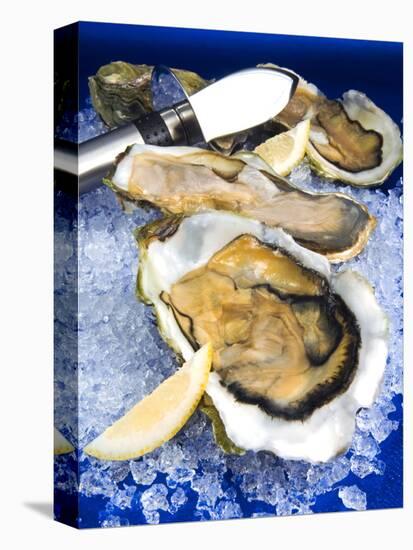 Oysters on Ice (Ostrea Edulis), France, Europe-null-Premier Image Canvas