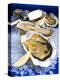 Oysters on Ice (Ostrea Edulis), France, Europe-null-Premier Image Canvas