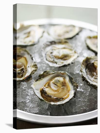 Oysters on Ice-Matilda Lindeblad-Premier Image Canvas