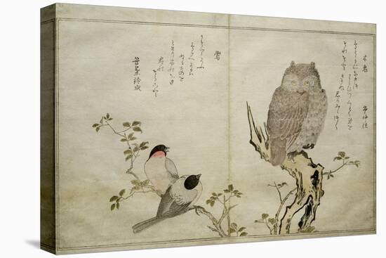 P.332-1946 Vol.2 F.4 an Owl and Two Eastern Bullfinches, from an Album 'Birds Compared in…-Kitagawa Utamaro-Premier Image Canvas