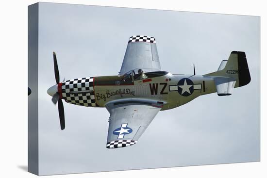 P-51D Mustang in World War Ii United States Army Air Corps Colors-Stocktrek Images-Premier Image Canvas