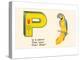 P is a Parrot-null-Stretched Canvas