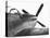 P51d Mustang-Gordon Osmundson-Stretched Canvas